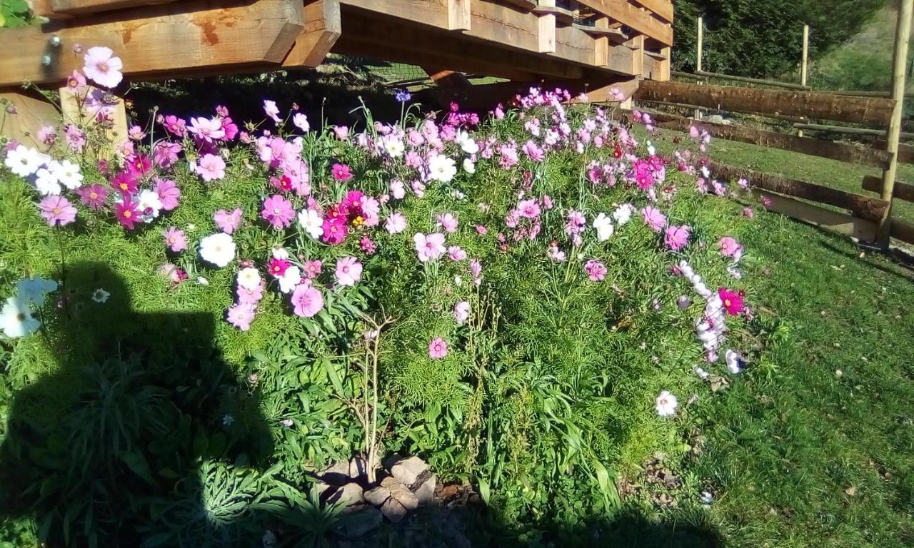 Auberge De La Grange spa&sauna Plainfaing Eksteriør billede