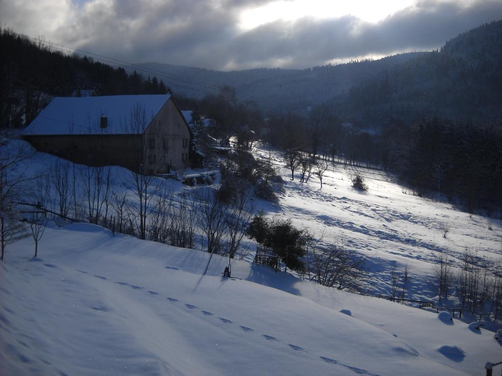 Auberge De La Grange spa&sauna Plainfaing Eksteriør billede