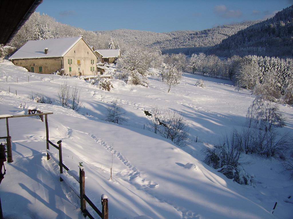Auberge De La Grange spa&sauna Plainfaing Eksteriør billede