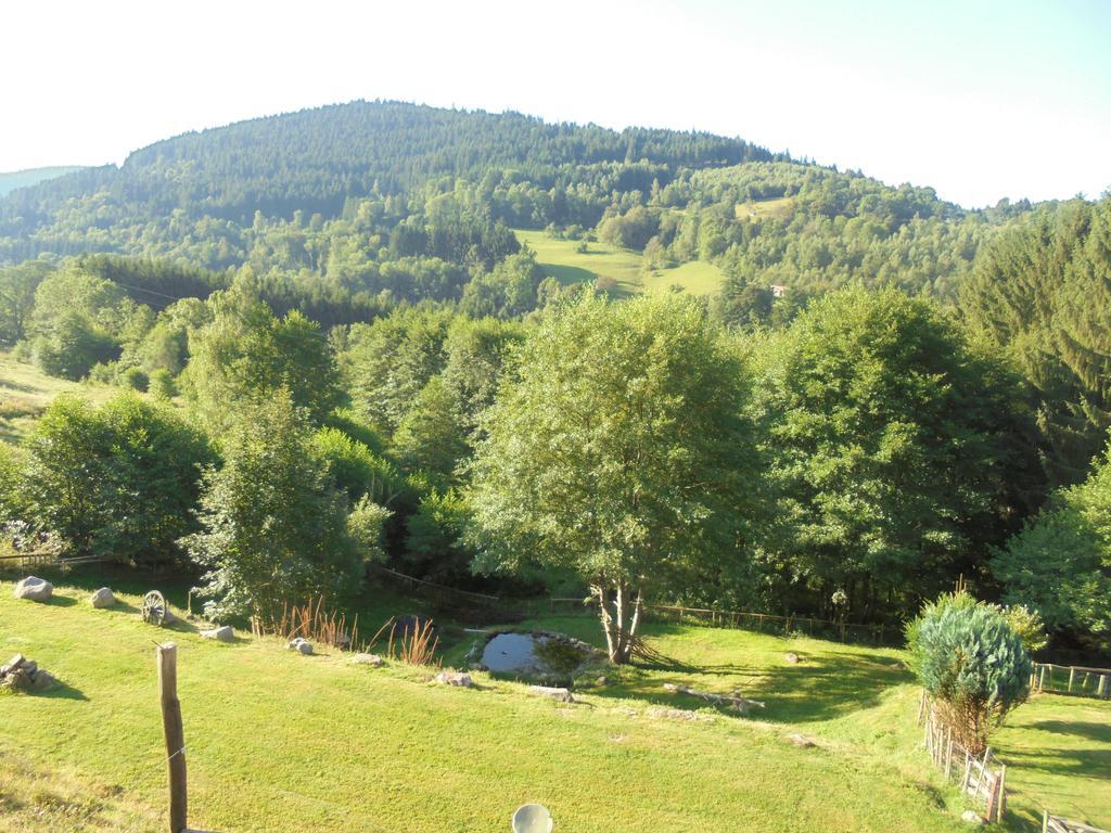 Auberge De La Grange spa&sauna Plainfaing Eksteriør billede