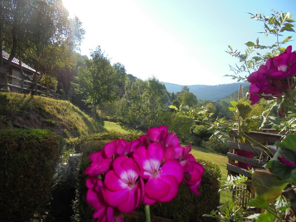 Auberge De La Grange spa&sauna Plainfaing Eksteriør billede
