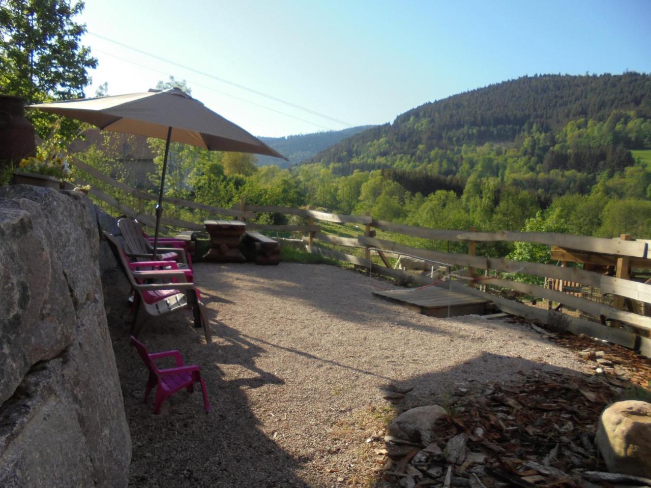 Auberge De La Grange spa&sauna Plainfaing Eksteriør billede